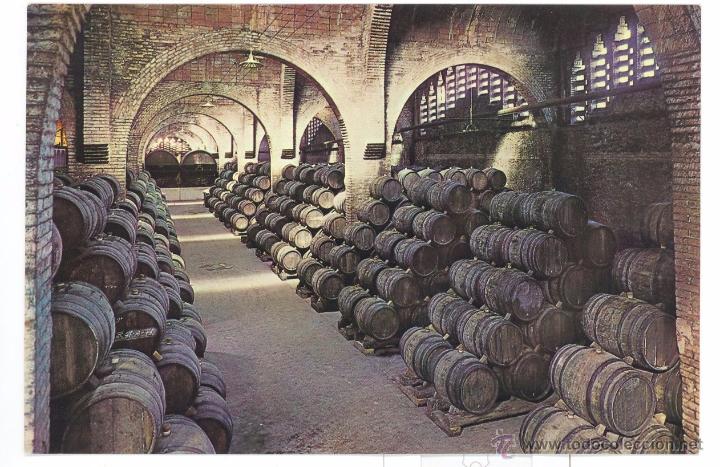 Postales: CAVAS CODORNIU- UNA BODEGA - Foto 1