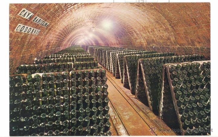 Postales: CAVAS CODORNIU- BOTELLAS EN PUPITRE - Foto 1