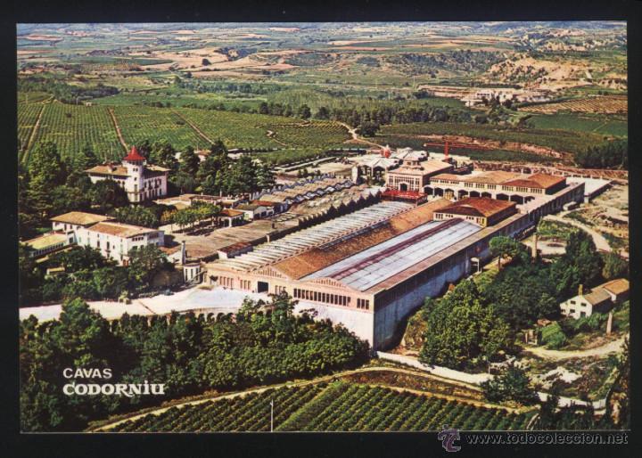 Postales: A-2721- CAVAS CODORNIU. - Foto 1