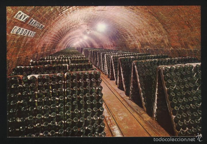 Postales: A-2731- CAVAS CODORNIU. BOTELLAS EN PUPITRE. - Foto 1