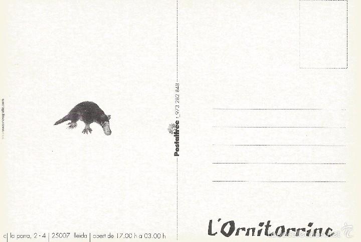 Postales: :::: LC367 - POSTAL - L&acute;ORNITORRINC - Foto 2