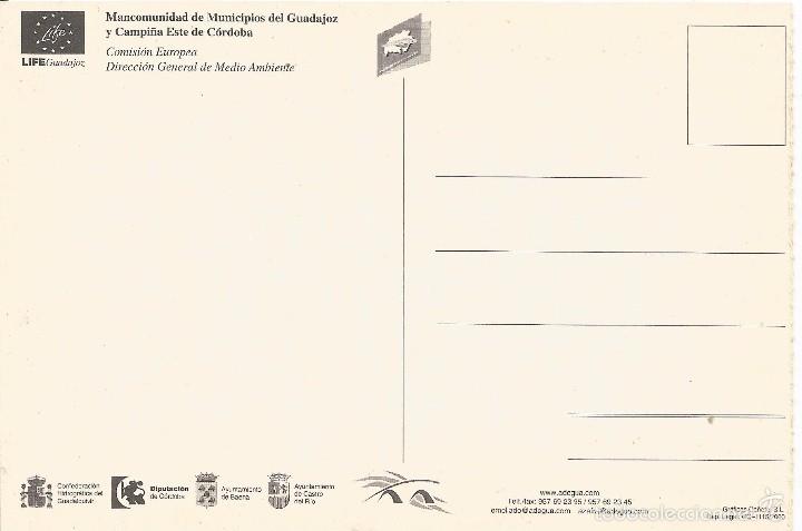 Postales: LC211 - POSTAL - UN COMPROMISO CON EL RIO - Foto 2