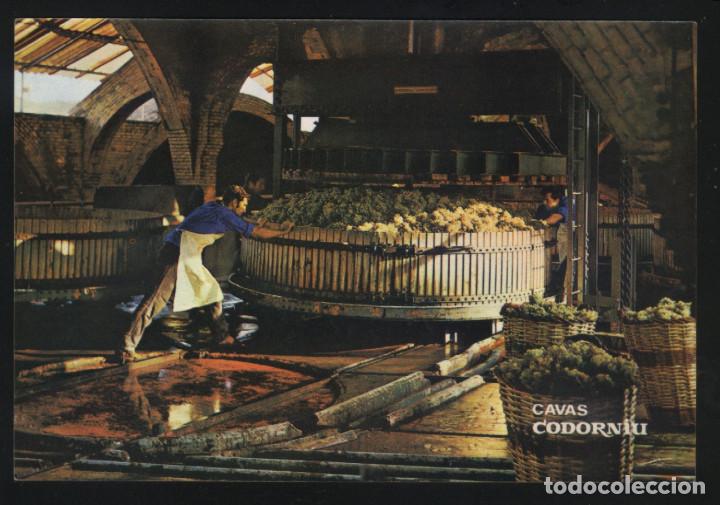 Postales: A-4168- CAVAS CODORNIU. PRENSADO DE LA UVA. - Foto 1