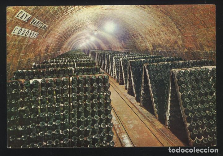 Postales: A-4235- CAVAS CODORNIU. BOTELLAS EN PUPITRE. - Foto 1