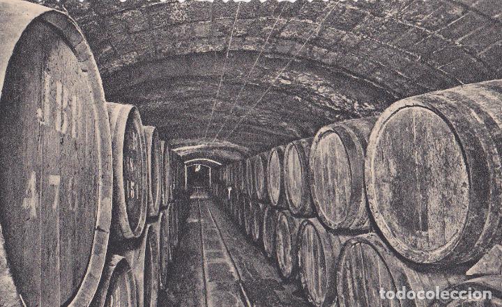 Postales: 3 POSTALES DE LAS CAVAS CODORNIU. A&Ntilde;OS 30. SIN CIRCULAR - Foto 1