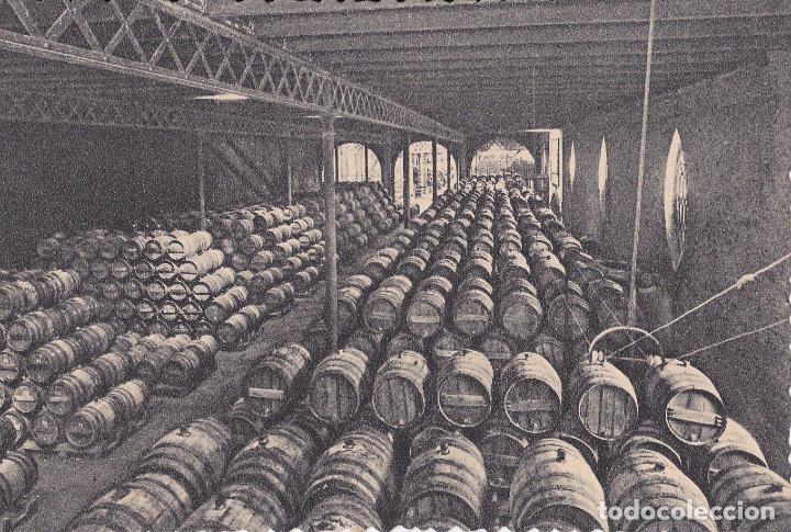 Postales: 3 POSTALES DE LAS CAVAS CODORNIU. A&Ntilde;OS 30. SIN CIRCULAR - Foto 3