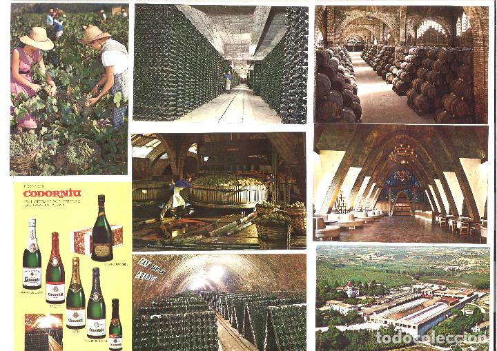 Postales: Lote 8 postales de Codorniu - Foto 1