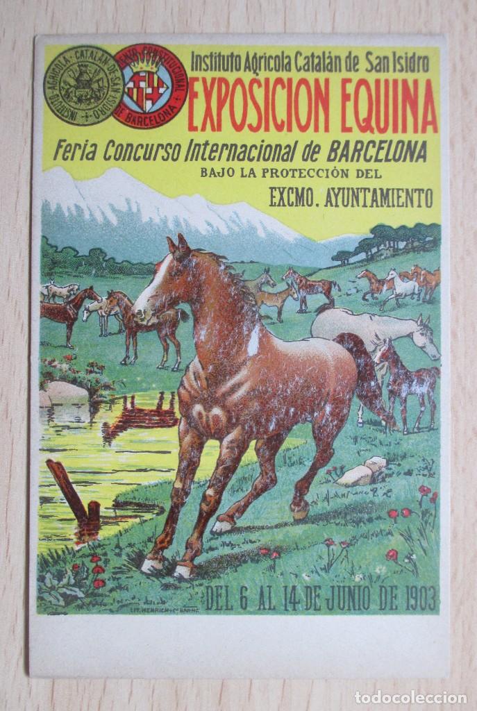 Postcards: Tarjeta postal antigua &ndash; EXPOSICI&Oacute;N EQUINA (Instituto Agr&iacute;cola Catal&aacute;n de San Isidro)
