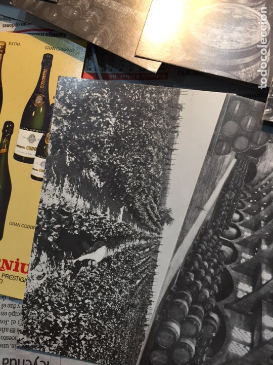Postales: Postales Cava Codorniu a&ntilde;os 50 - Foto 5