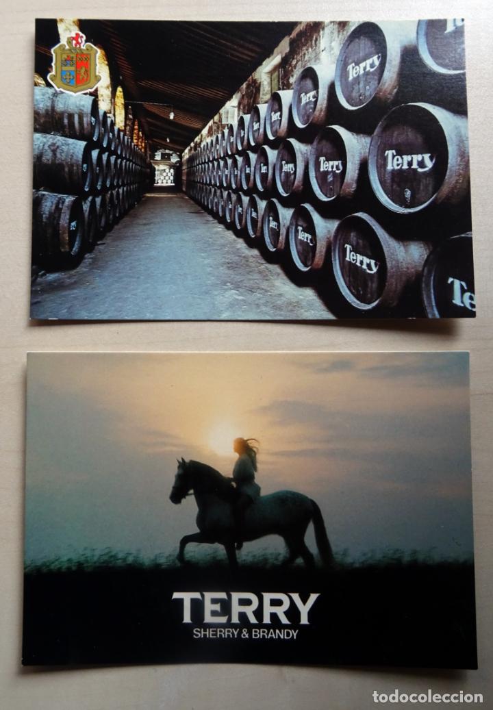 Postales: 2 postales antiguas sin circular de Bodegas Terry - Foto 1