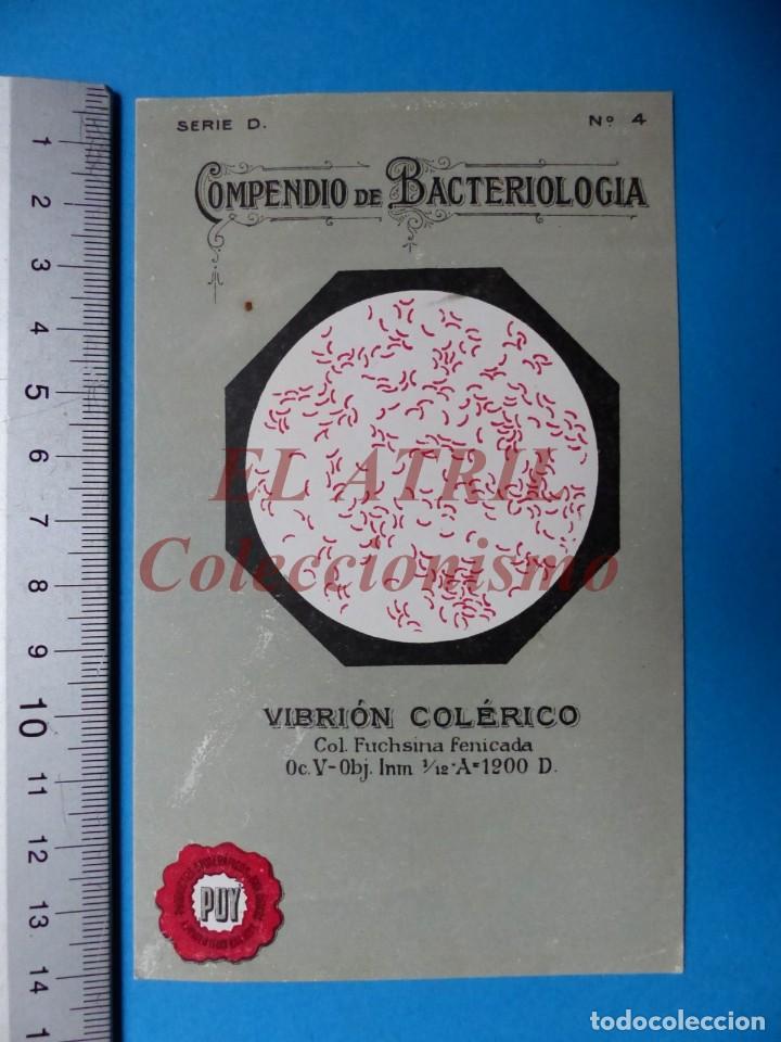 Postales: POSTAL COMPENDIO DE BACTERIOLOGIA, VIBRION COLERICO - Foto 1