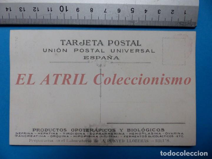 Postales: POSTAL COMPENDIO DE BACTERIOLOGIA, VIBRION COLERICO - Foto 2