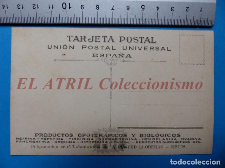 Postales: POSTAL COMPENDIO DE BACTERIOLOGIA, BACILO DE EBERTH - Foto 2