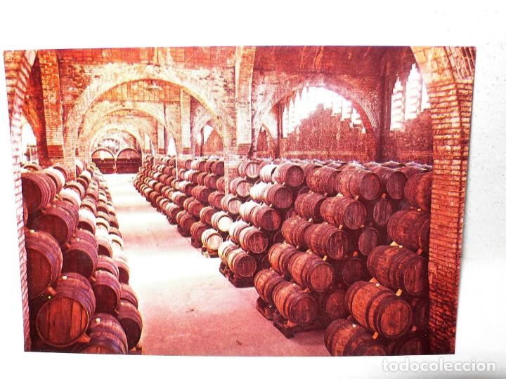 Postales: ANTIGUA CARPETA POSTALES CODORNIU - Foto 5