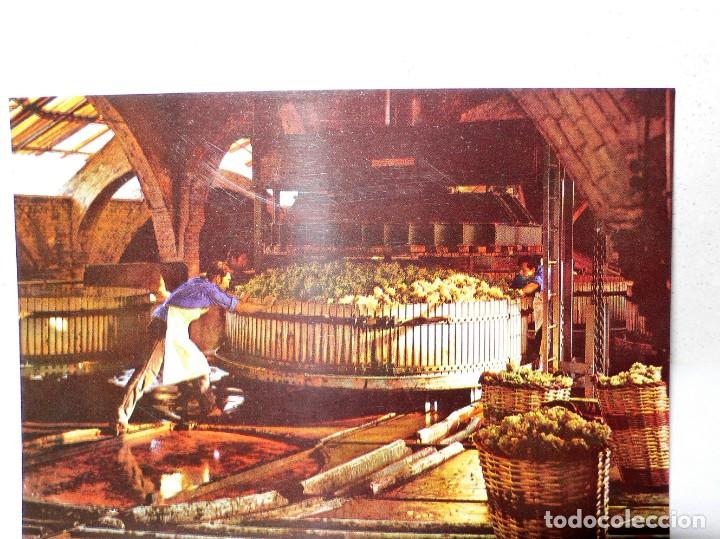 Postales: ANTIGUA CARPETA POSTALES CODORNIU - Foto 7
