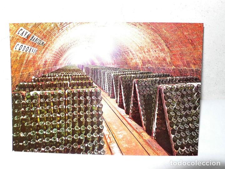 Postales: ANTIGUA CARPETA POSTALES CODORNIU - Foto 9