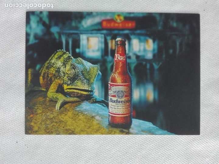 Postcards: POSTAL NUEVA - POSTALFREE - CERVEZA BUDWEISER - CAMALEON FAUNA