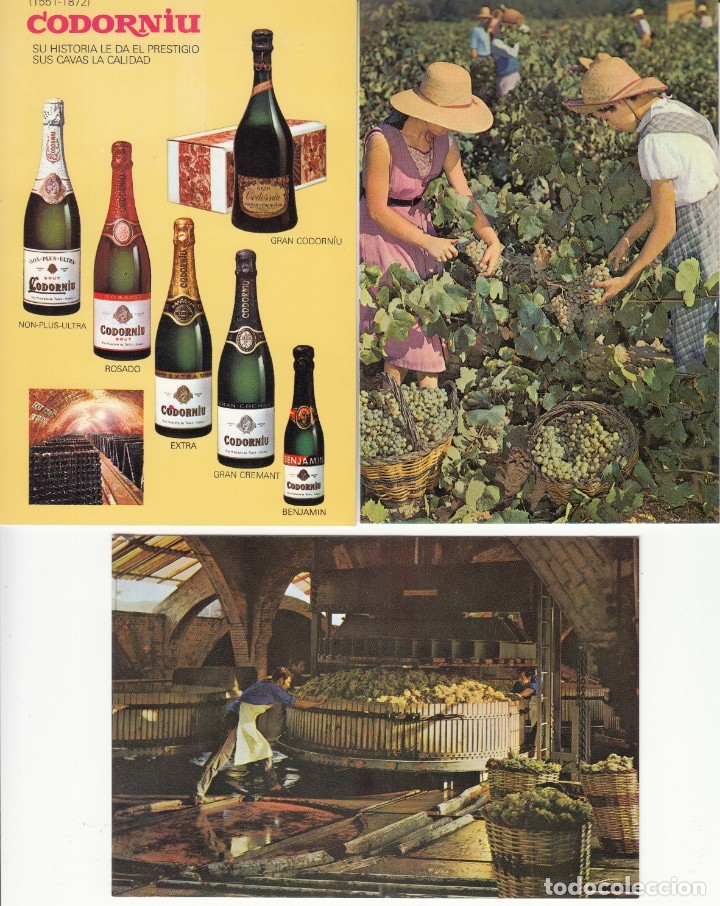 Postales: CAVAS CODORNIU ( 9 POSTALES SIGLO XX ) - Foto 1