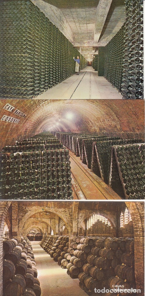 Postales: CAVAS CODORNIU ( 9 POSTALES SIGLO XX ) - Foto 3