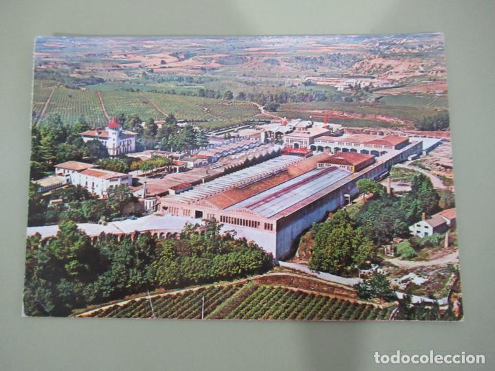 Postales: Cavas Codorniu - Exteriores - Circulada - Foto 1