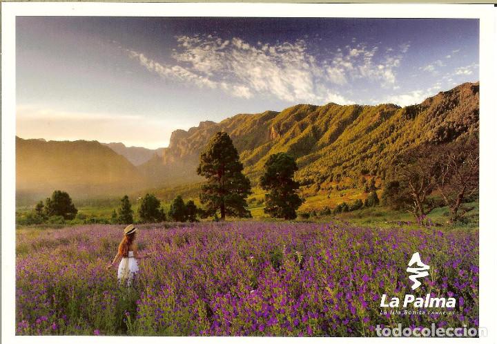 Postales: POSTAL - LA PALMA - Foto 1