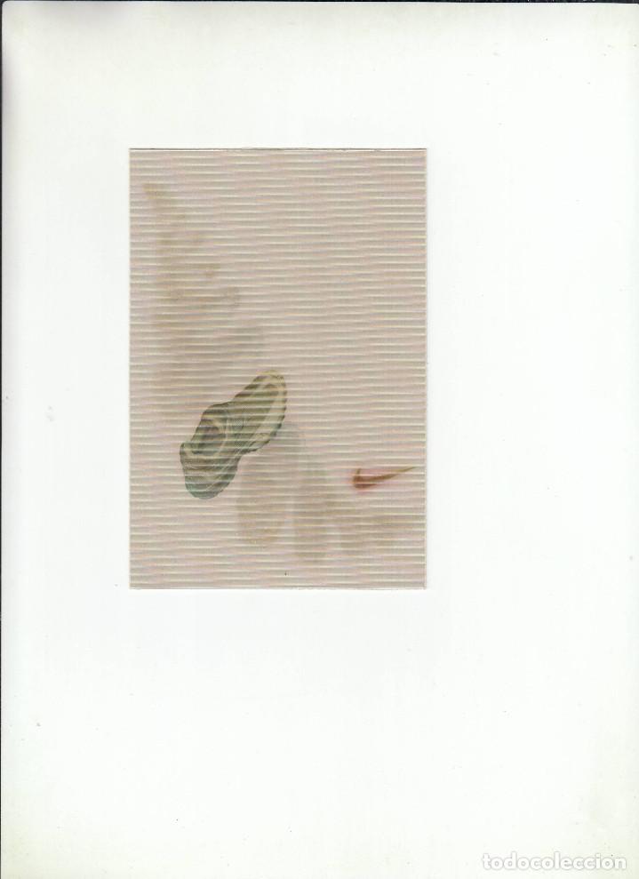 Postales: POSTAL NIKE. - Foto 1
