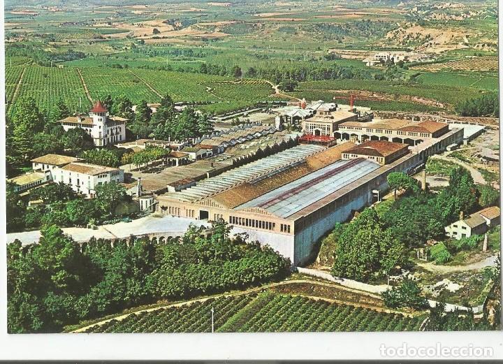 Postales: LOTE DE 8 POSTALES TEMATICAS DE LAS BODEGAS CAVA CODORNIU. A&Ntilde;O 1971 - Foto 2