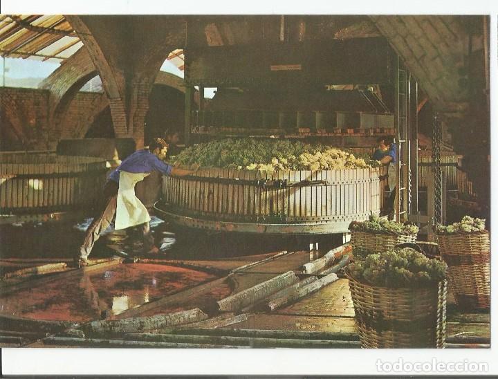 Postales: LOTE DE 8 POSTALES TEMATICAS DE LAS BODEGAS CAVA CODORNIU. A&Ntilde;O 1971 - Foto 4