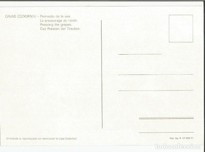 Postales: LOTE DE 8 POSTALES TEMATICAS DE LAS BODEGAS CAVA CODORNIU. A&Ntilde;O 1971 - Foto 5