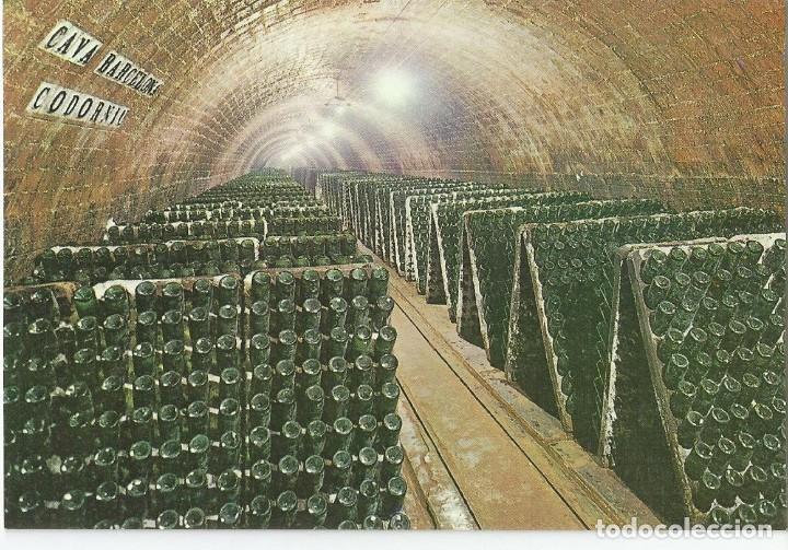 Postales: LOTE DE 8 POSTALES TEMATICAS DE LAS BODEGAS CAVA CODORNIU. A&Ntilde;O 1971 - Foto 6