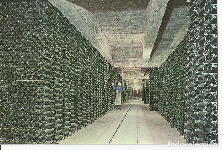 Postales: LOTE DE 8 POSTALES TEMATICAS DE LAS BODEGAS CAVA CODORNIU. A&Ntilde;O 1971 - Foto 14