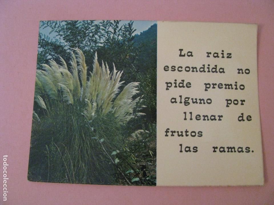 Postales: POSTAL FRASES FILOSOFICAS. ED. ATA. - Foto 1