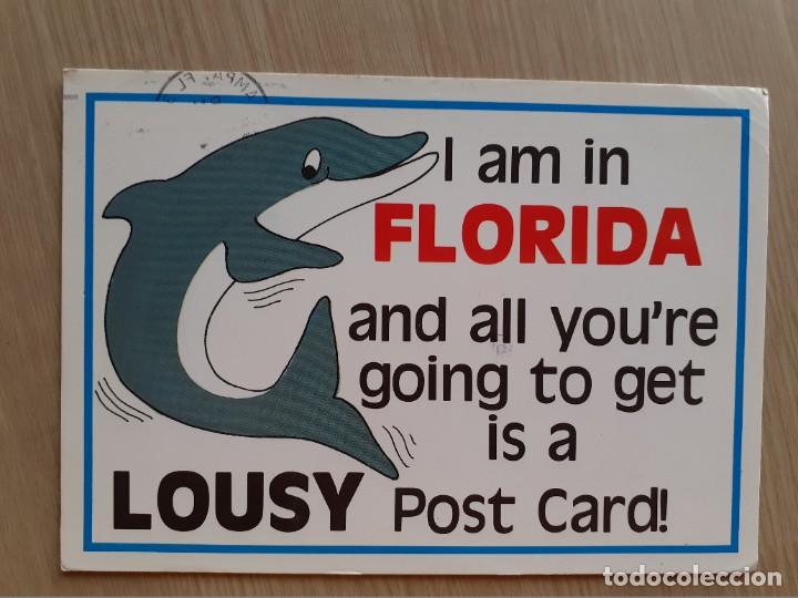 Postales: TARJETA POSTAL - FLORIDA TIBURON - Foto 1