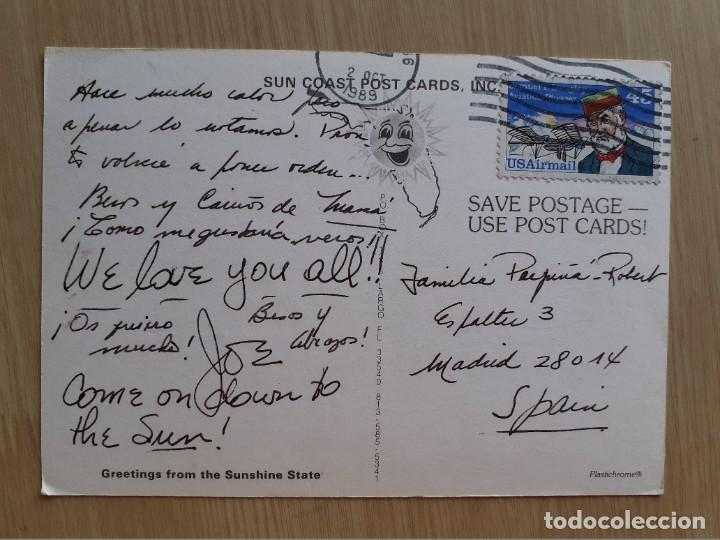 Postales: TARJETA POSTAL - FLORIDA TIBURON - Foto 2