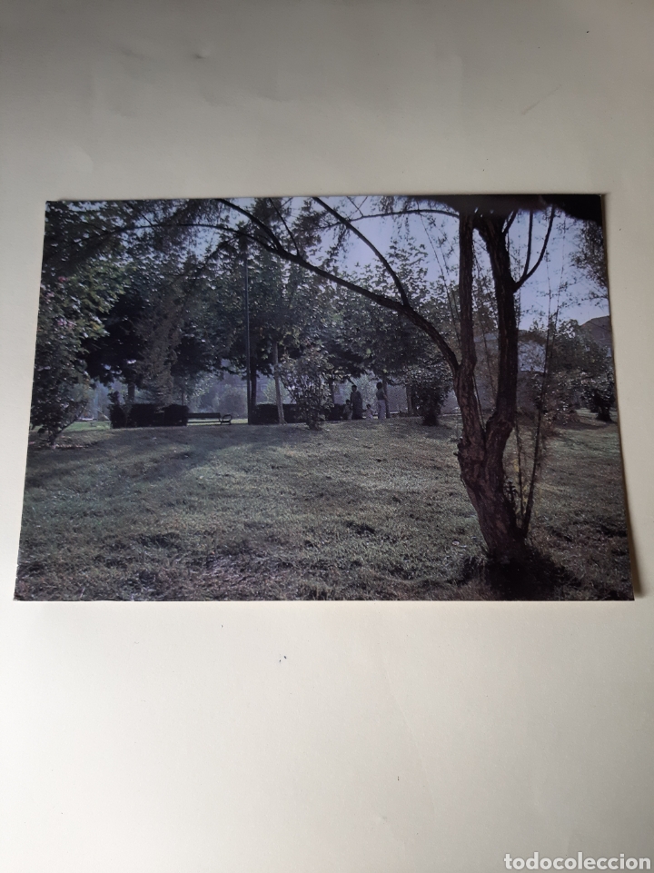 Postales: CACABELOS LEON PARQUE MATASELLO 1985 PROGRAMA LA TARDE - Foto 2