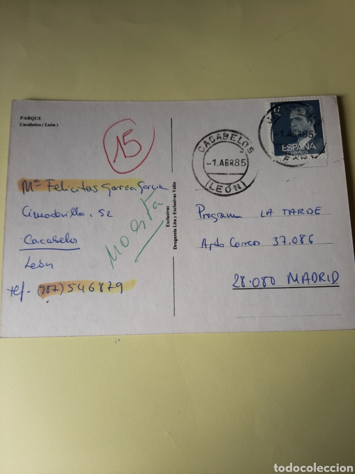Postales: CACABELOS LEON PARQUE MATASELLO 1985 PROGRAMA LA TARDE - Foto 1