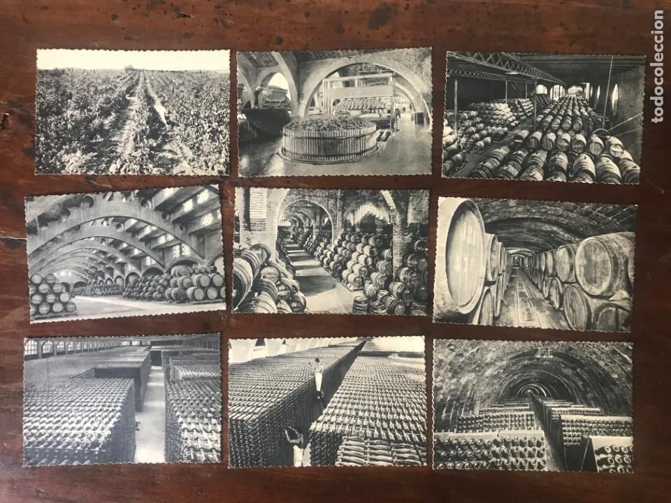 Postales: COLECCI&Oacute;N DE 1O POSTALES DE LA CASA CODORNIU A&Ntilde;O 1960 - Foto 1
