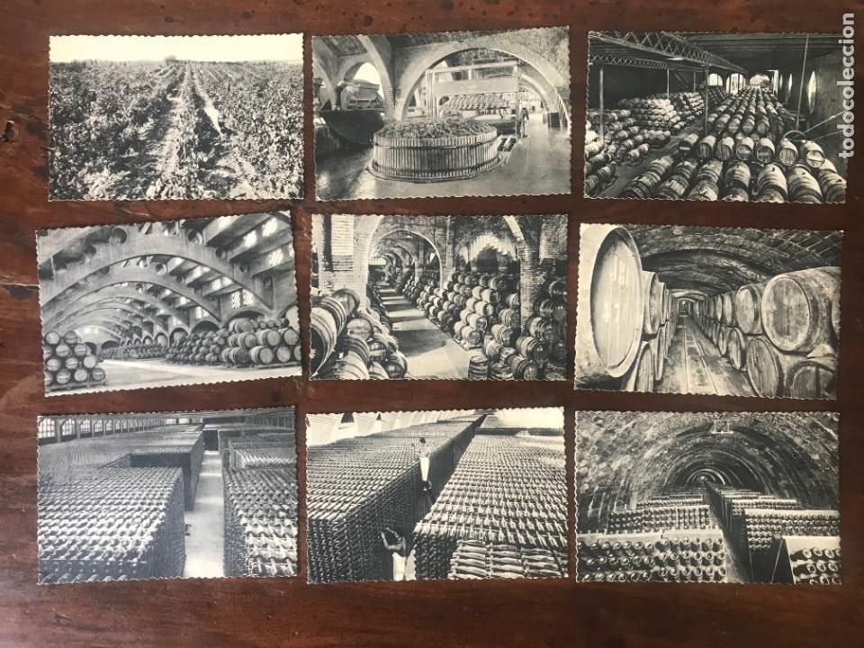 Postales: COLECCI&Oacute;N DE 1O POSTALES DE LA CASA CODORNIU A&Ntilde;O 1960 - Foto 3