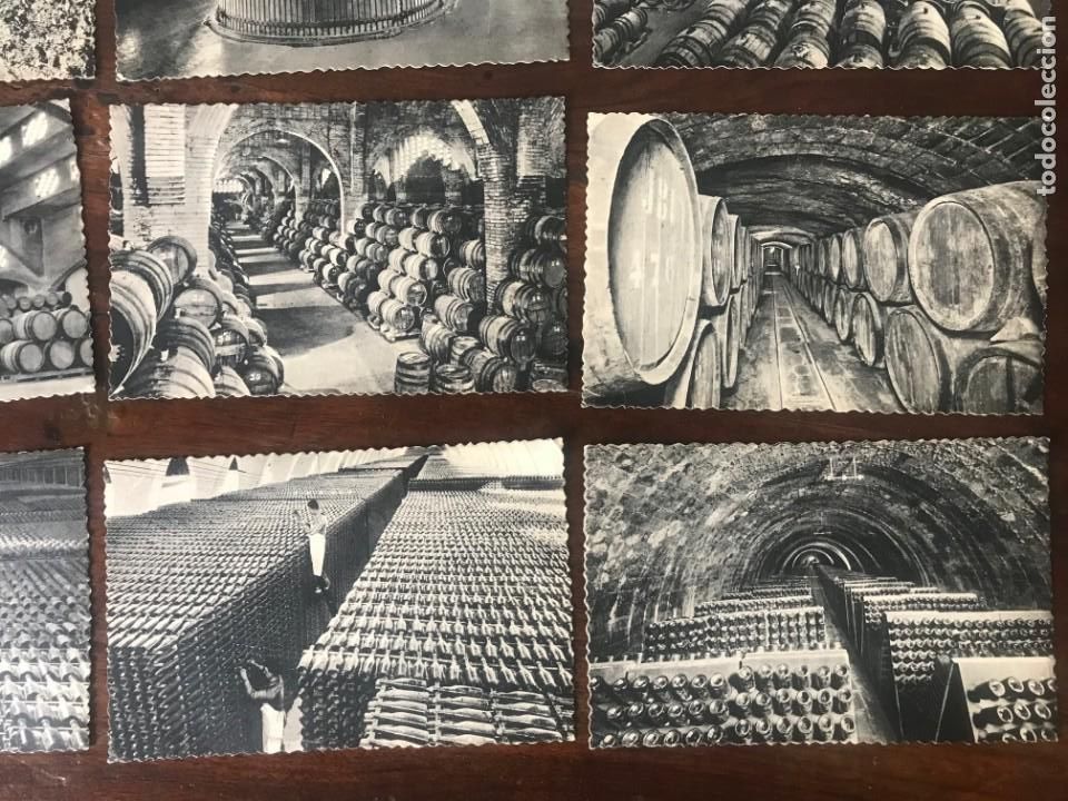 Postales: COLECCI&Oacute;N DE 1O POSTALES DE LA CASA CODORNIU A&Ntilde;O 1960 - Foto 6