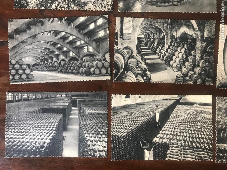 Postales: COLECCI&Oacute;N DE 1O POSTALES DE LA CASA CODORNIU A&Ntilde;O 1960 - Foto 7