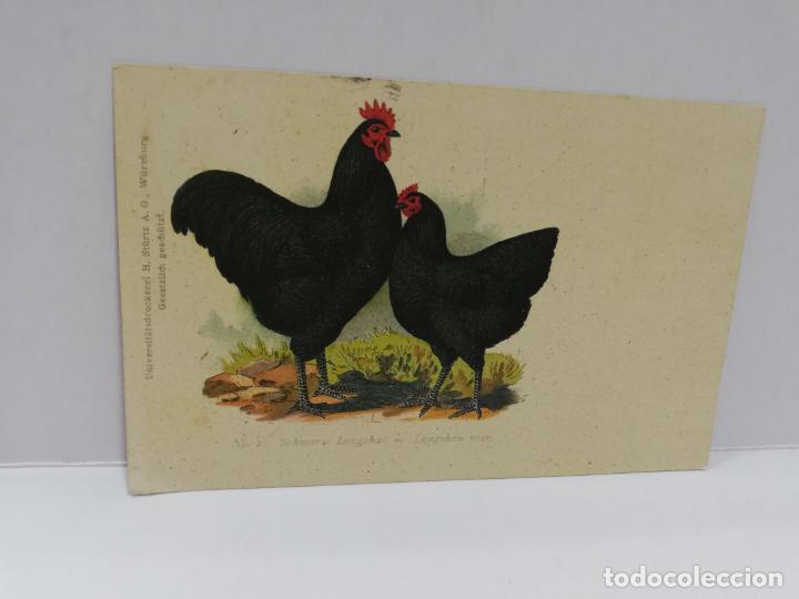 Cartes Postales: TARJETA POSTAL PUBLICITARIA. LANGSHAN NOIR.