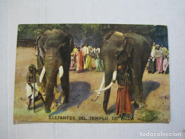 Postales: ELEFANTES DEL TEMPLO DE BUDA-TE RATANPURO PUBLICIDAD-POSTAL ANTIGUA-(74.668)