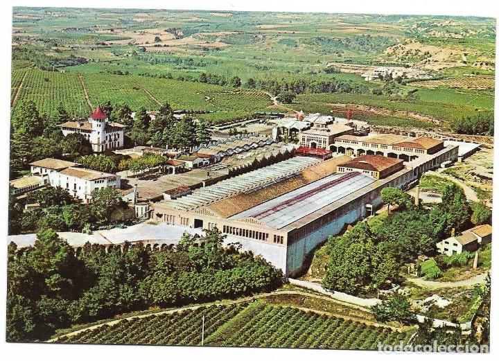 Postcards: CAVAS CODORNIU. Completamente nueva y con funda. A&ntilde;os 60