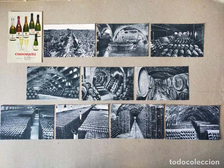 Postales: COLECCION DE POSTALES PUBLICITARIAS (11) CASA CODORNIU SAN SADURNI DE NOYA - A&Ntilde;O 1960