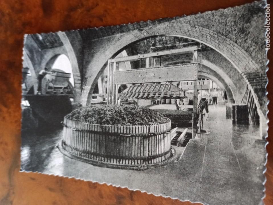Postales: Codorn&iacute;u prensa vino - Foto 1
