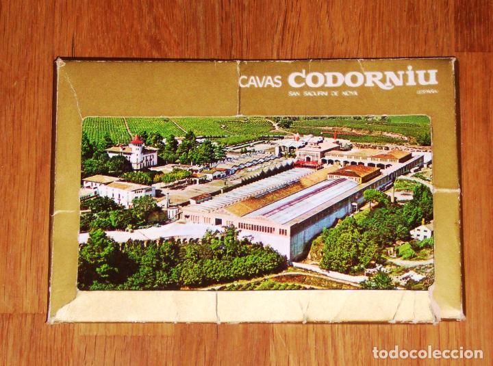 Postales: CAVAS CODORNIU. San Sadurn&iacute; de Noya. 7 POSTALES - Foto 1