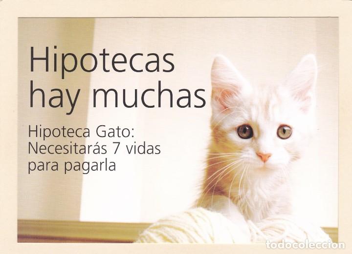 Postales: POSTAL BANCO SANTANDER CENTRAL HISPANO. HIPOTECA GATO - Foto 1