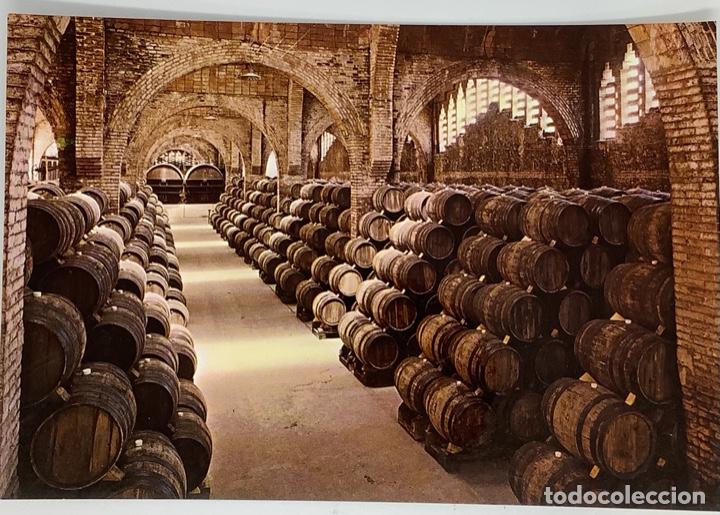 Postales: Postal Cavas Codorniu. Catalu&ntilde;a. Una bodega monumento nacional. Sin circular.