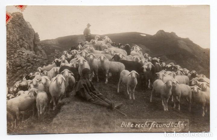 Postcards: POSTAL DE 1924, REBA&Ntilde;O DE OVEJAS Y PASTORES. BILTE RECHT FREUNDLICH. CIRCULADA.