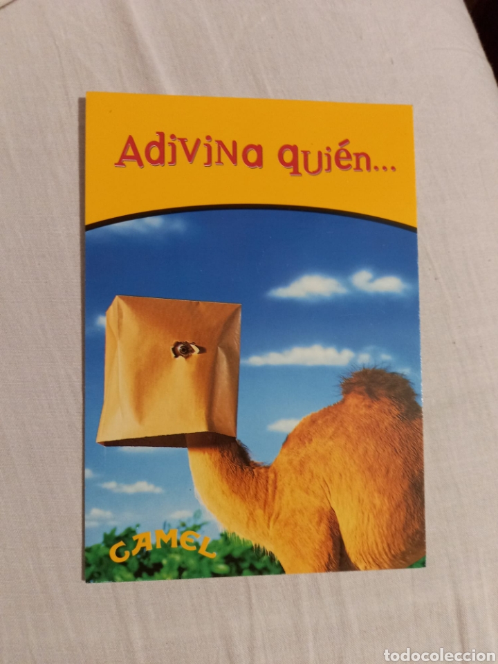 Postcards: Camel Tarjeta postal 1997.